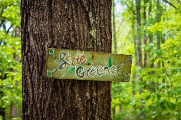 Discover Ways to Live Greener